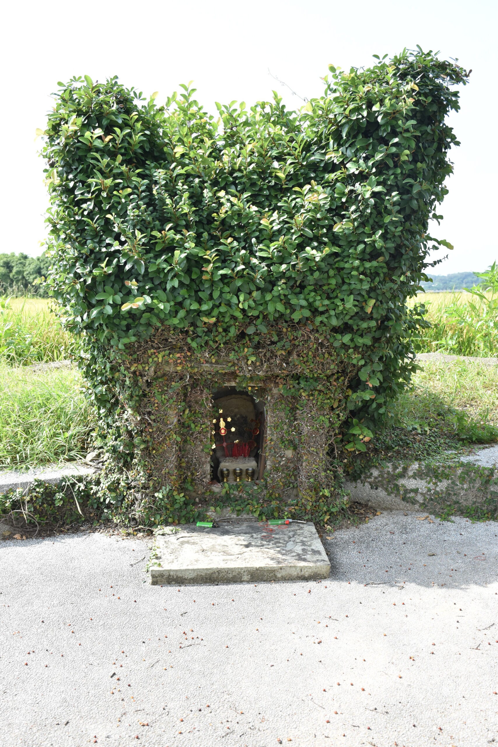 龍貓土地公