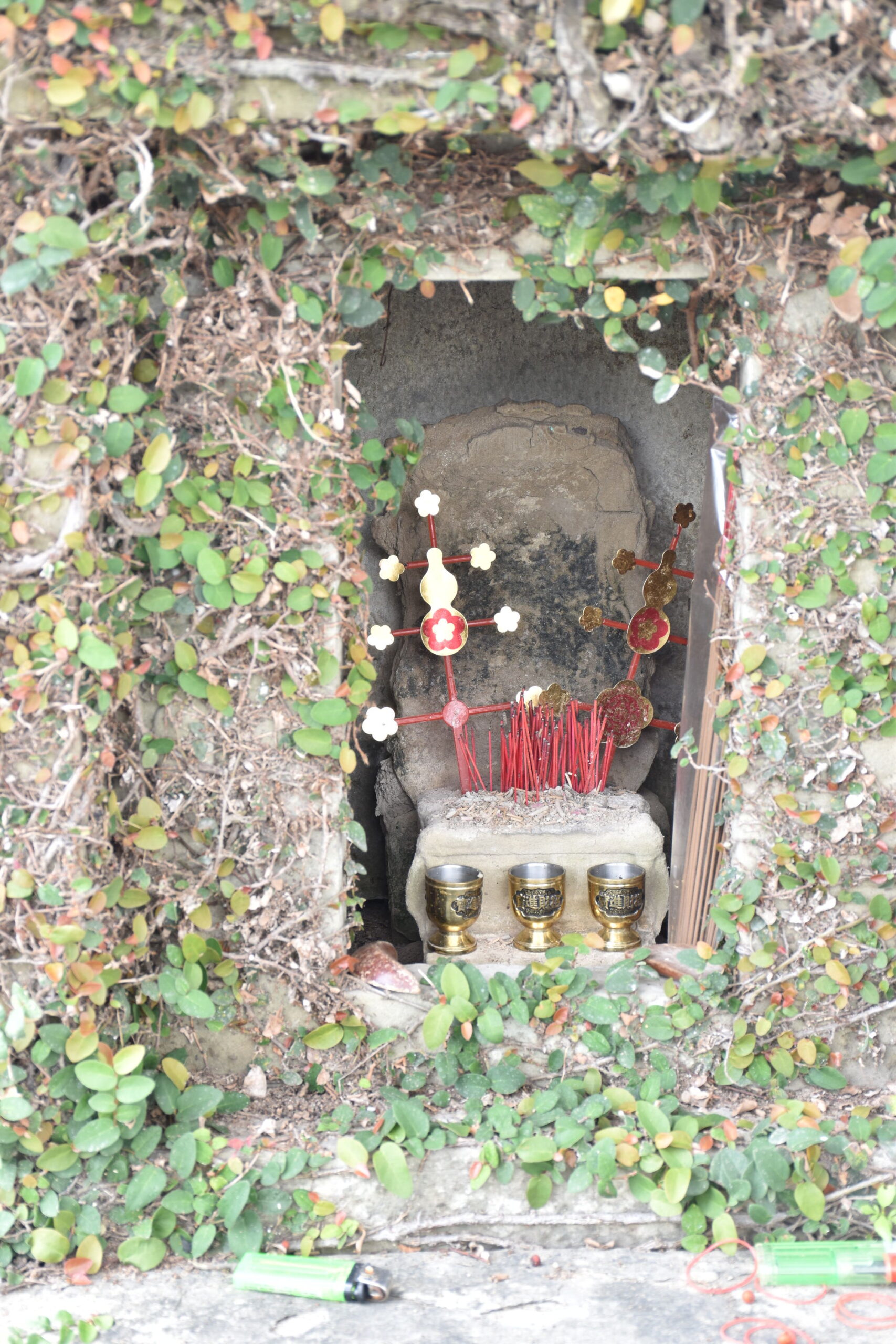 DSC_0039