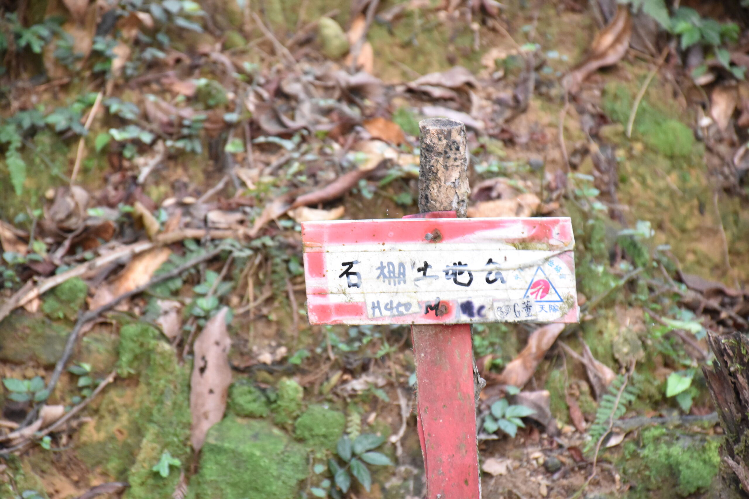 DSC_0111 DSC_0111