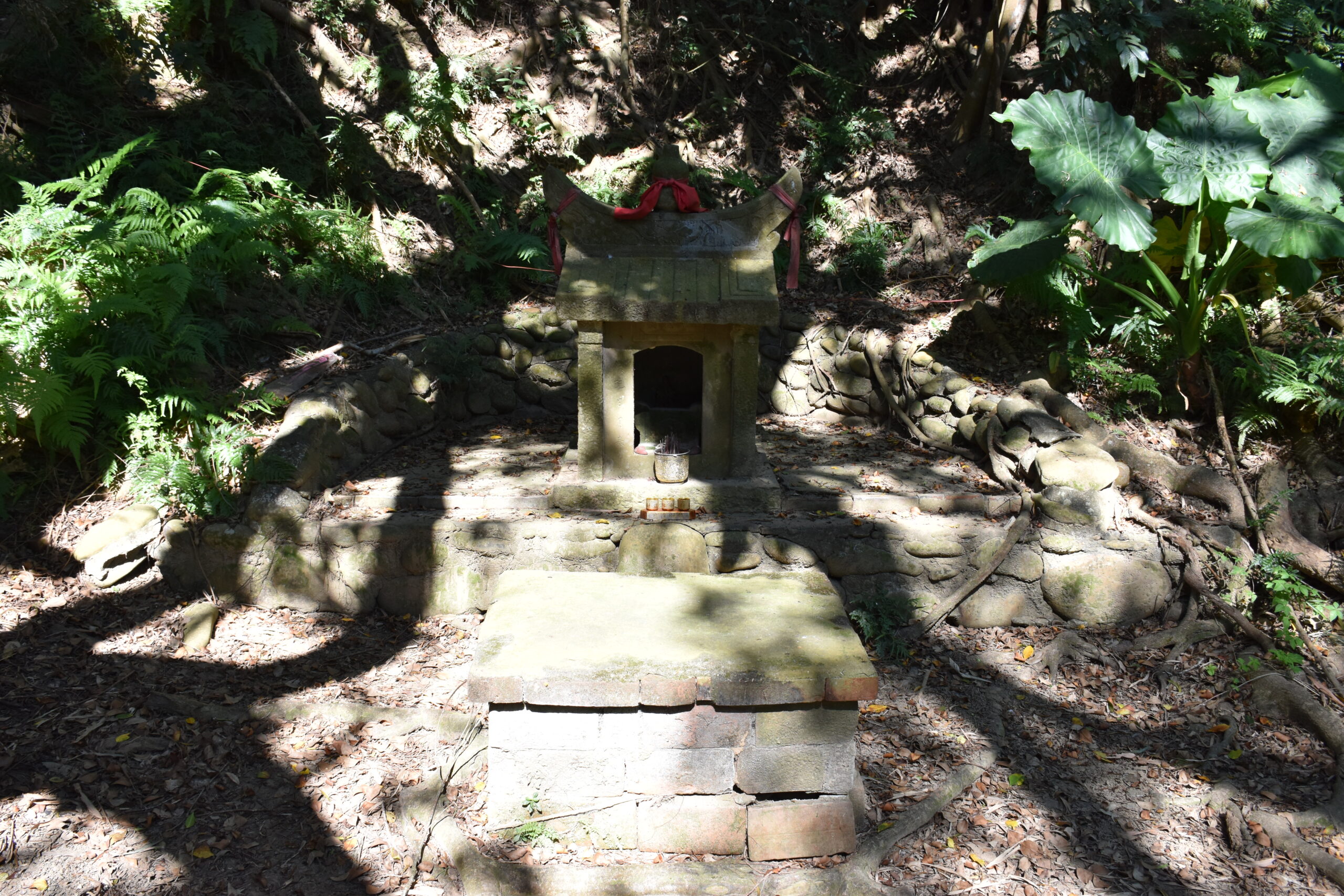 DSC_0124 DSC_0124