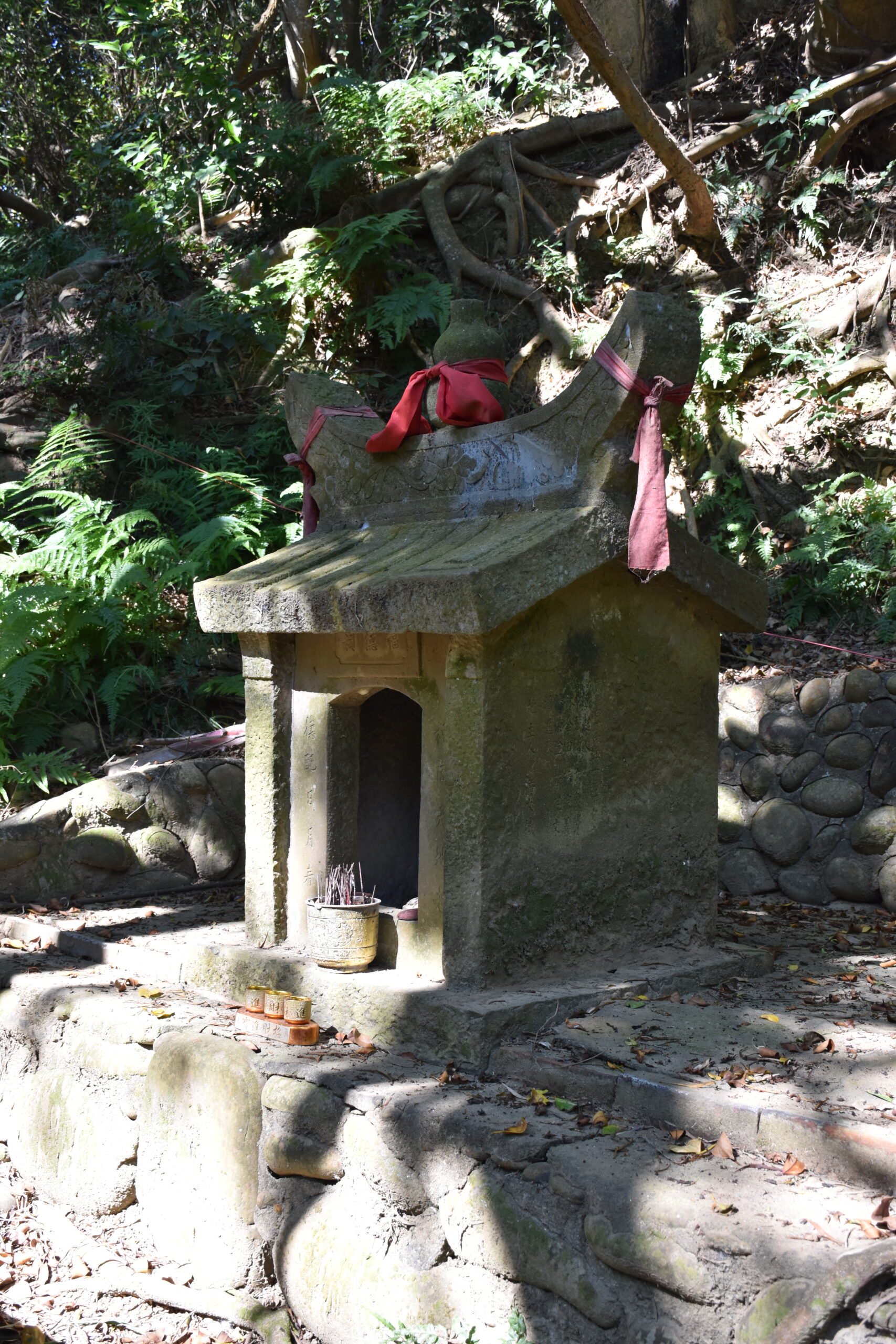 DSC_0137 DSC_0137