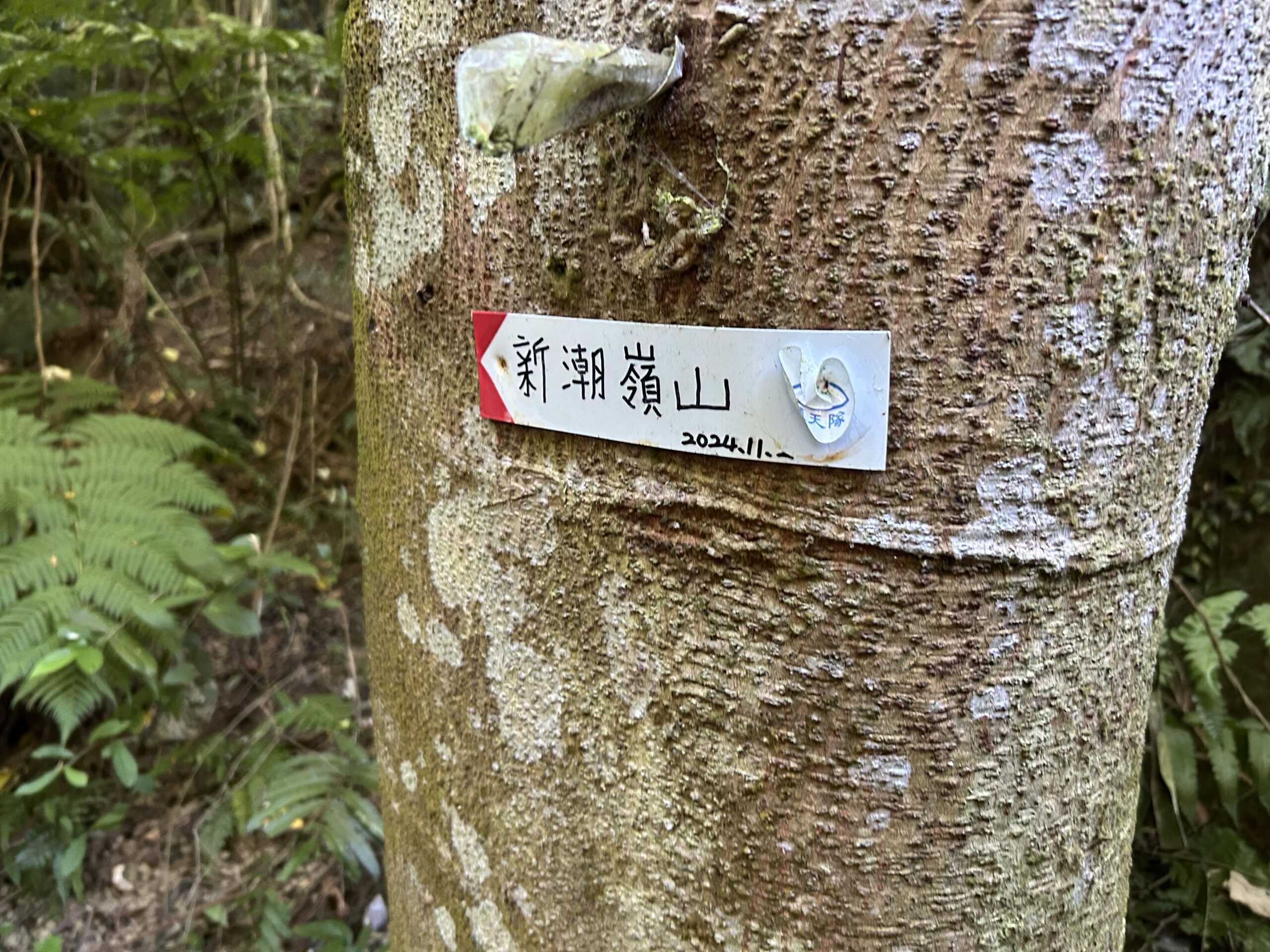 福安宮 IMG_1851